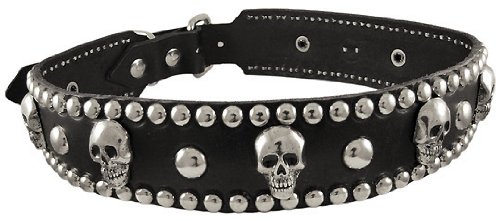 skull dog collars