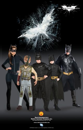 Secret Wishes Dark Knight Rises Adult Catwoman Costume